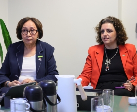 20260224_reuniao-conselho-executivo-hub_betomonteiro 2